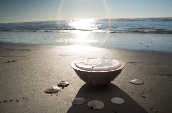 Biodegradable Urns