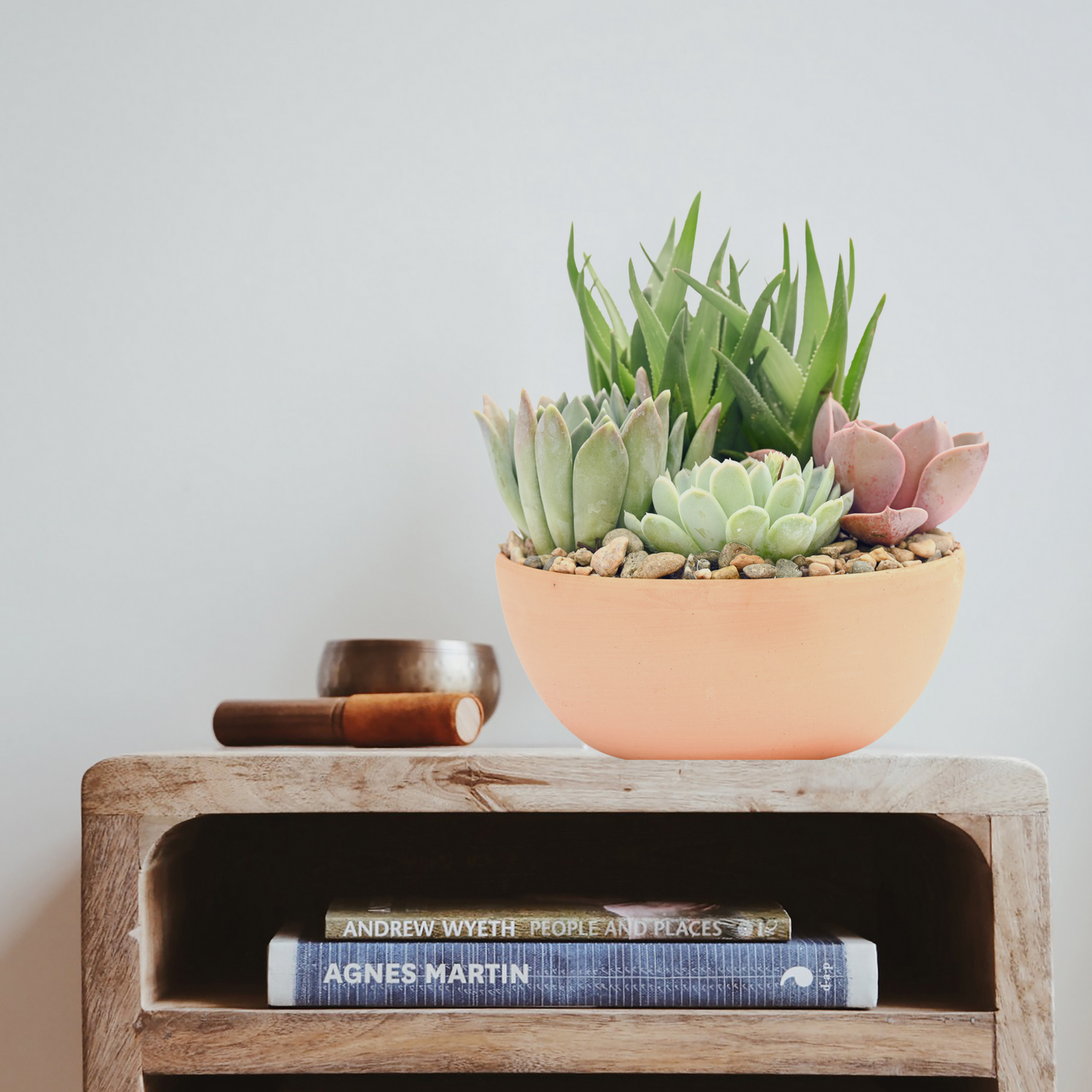 succulent sympathy gift Sympathy & Grief Terracotta Succulent Garden