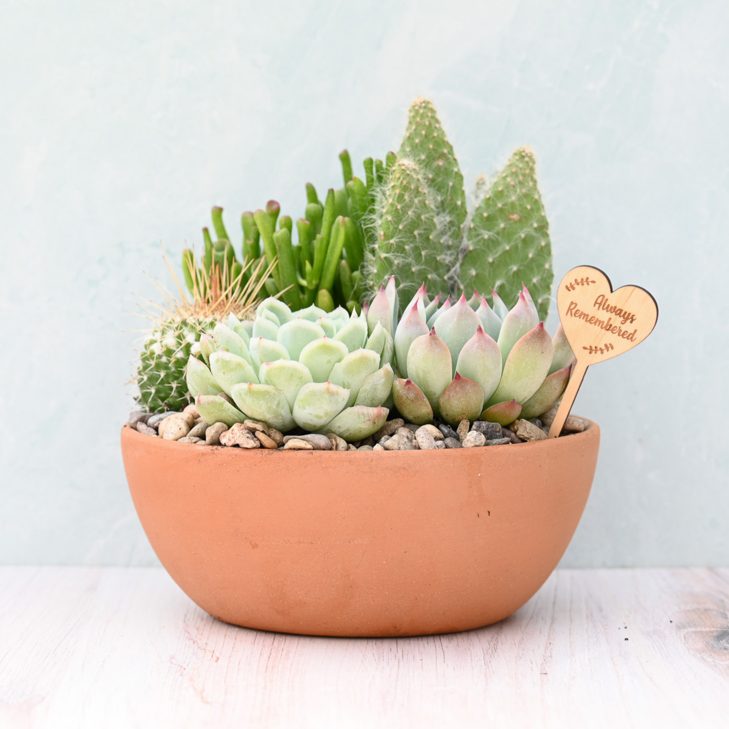 sympathy succulent gift Sympathy & Grief Terracotta Succulent Garden