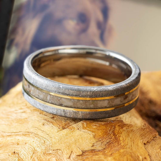 Eden Meteorite Pet Memorial Ring With Gold Pinstripes