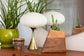 Veya Wooden Plant Urn In Walnut & Sycamore
