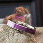 Lucy Pet Collar Memorial Ring