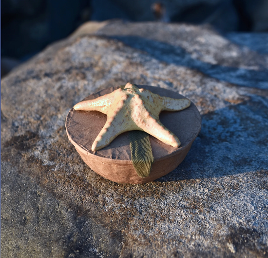 Mini Starfish Biodegradable Scattering Urn