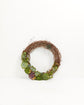 Fresh Live Succulent Wreath