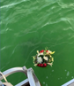 Fresh Flowers DIY Biodegradable Urn For Water Burial