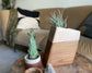 Sana Wooden Plant Urn In Elm & Maple
