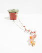 Echeveria Rose Succulent Sympathy Plant Gift