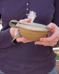 Mini Sand Dollar Biodegradable Urn