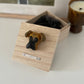 Custom Pet Memorial Urn Box