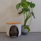 Personalized Custom Handmade Clay Pet Urn