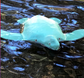 Keepsake Biodegradable Water Turtle Urn