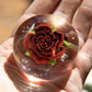 Red Rose Cremation Paperweight